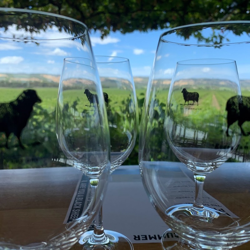 McLaren Vale tours with Hugh Hamilton wine tastings