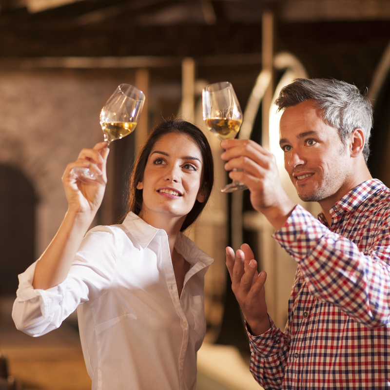Wine tasting tours from delaide to Hahndorf 