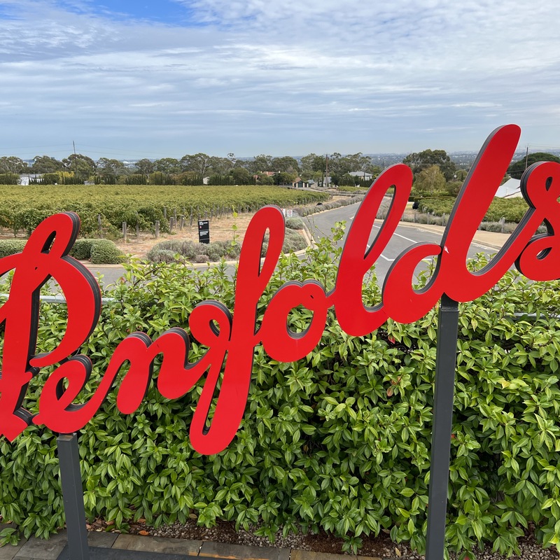 McLaren Vale tours with Hugh Hamilton wine tastings